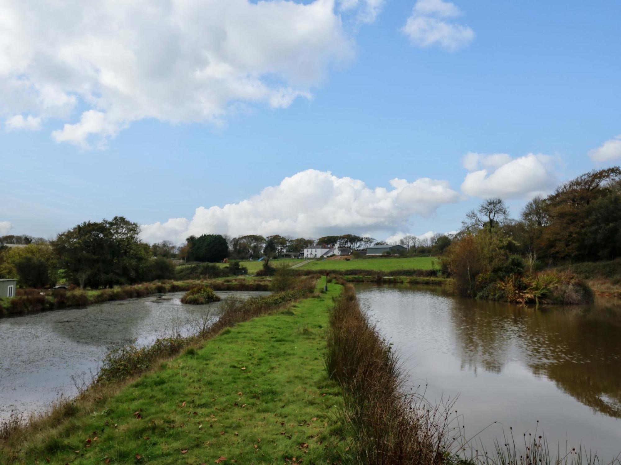 The Cottage Bideford Exteriör bild